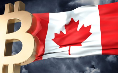 Canadian crypto exchange ezBtc gambled on user’s $9.5M