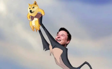 Elon Musk Win Dismissal In Dogecoin Price Manipulation Allegations