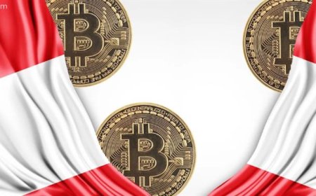 Austria Declines Bitcoin Gift—No Interest in Crypto Reserves for Now