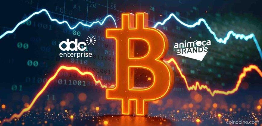 DDC Enterprise & Animoca Brands Join Forces on $100M Bitcoin Treasury Strategy