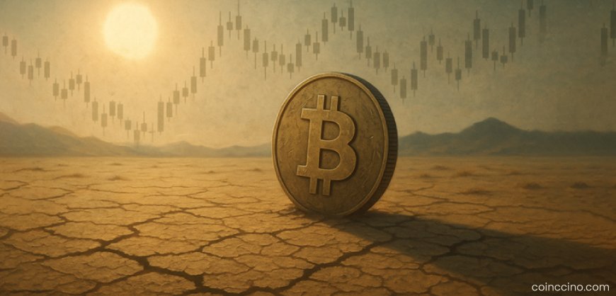 Crypto Enters Seasonal “Summer Lull” as Volatility and Volume Drop Sharply