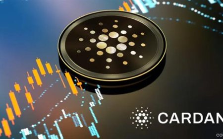 Crypto Market Rebounds as Cardano Leads Emerging Rally
