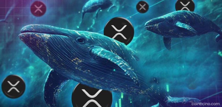 XRP Whales Accumulate Ahead of SEC Decision: Major Buying Signals Surge in Sentiment