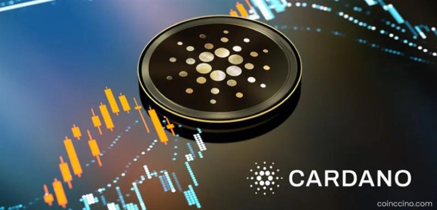 Crypto Market Rebounds as Cardano Leads Emerging Rally