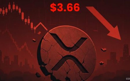 XRP Forms Bullish Falling Wedge Amid Correction; Traders Eye Breakout Toward $3.66