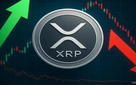Digital Ascension CEO Says XRP Is Unlikely to Crash 90% Again