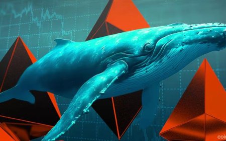 Ethereum Whales Ramp Up Accumulation Amid Broader Crypto Market Pull-Back