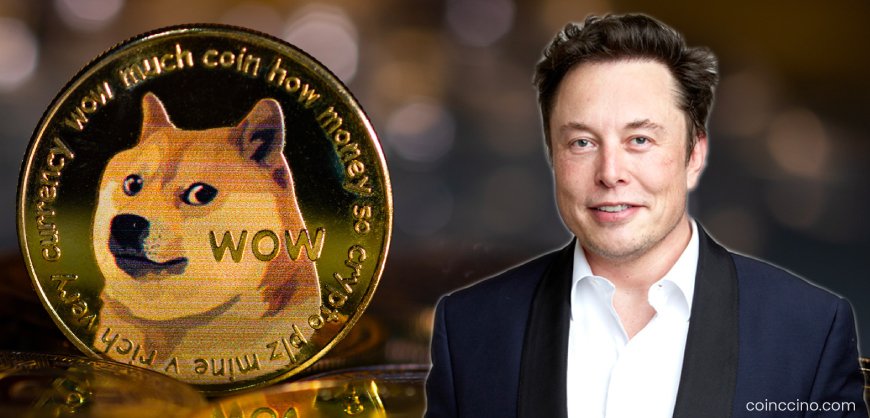Elon Musk Tweets “It’s Time” for Dogecoin — Sparks New Speculation