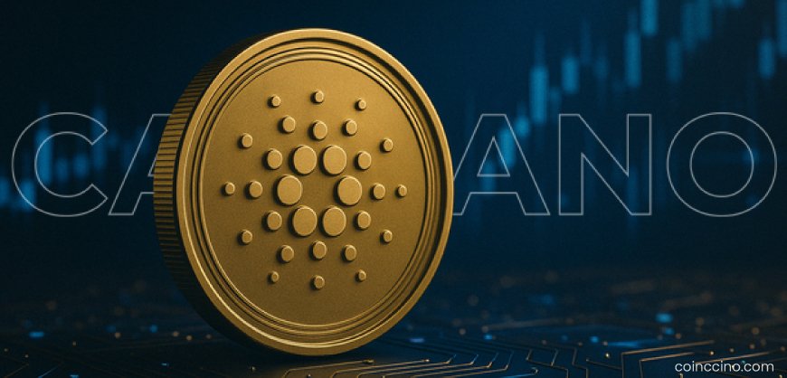 Cardano Volume Surges 63% in Latest Rally Signal