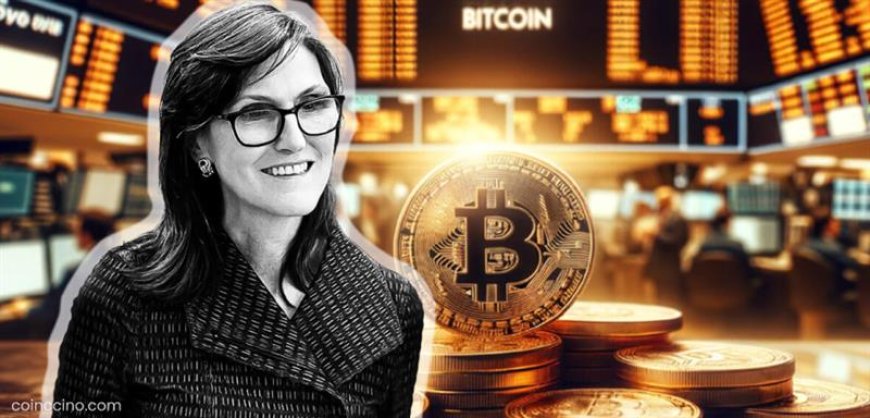 Cathie Wood Says Crypto Liquidity Crunch Will Reverse Within Weeks