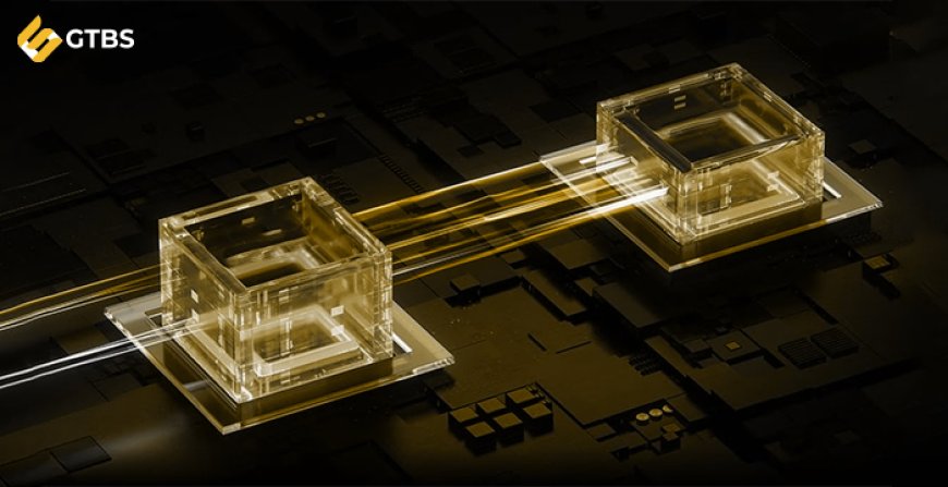 Why the Future of Blockchain Belongs to Multi-VM Architectures