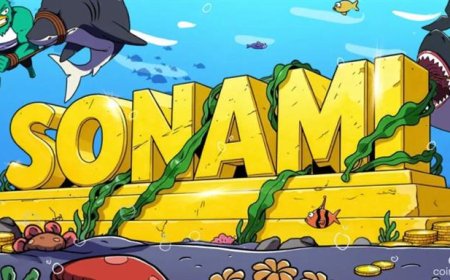 Sonami Launches First Layer-2 Token on Solana — Aiming to End Network Congestion for Good