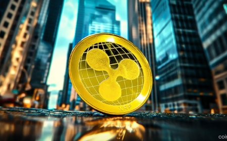 Ripple Enters Elite Top-10 “Private Titans” Club with $50B Valuation